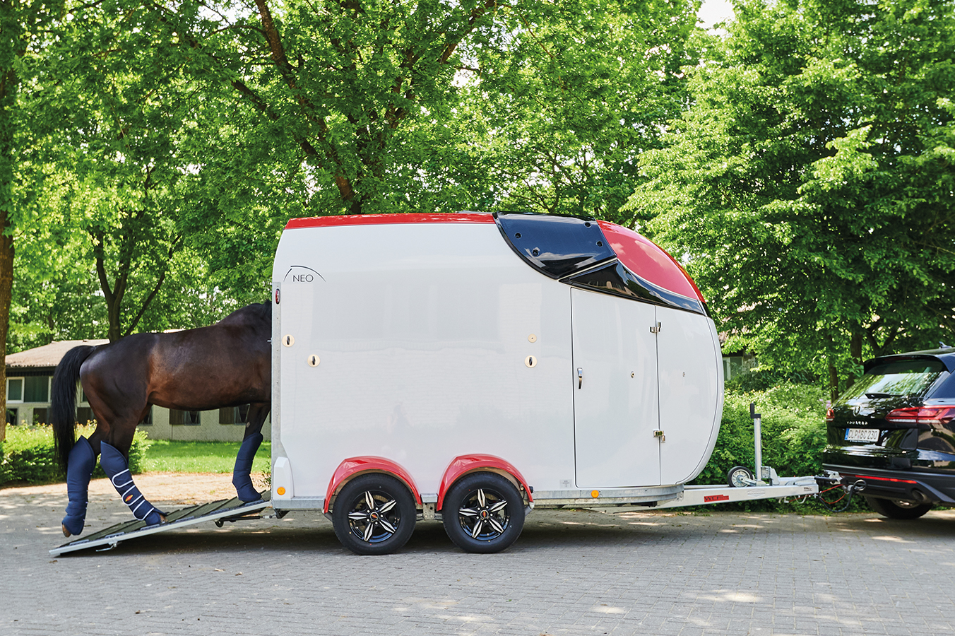 Vans pour chevaux Bockmann - Néo