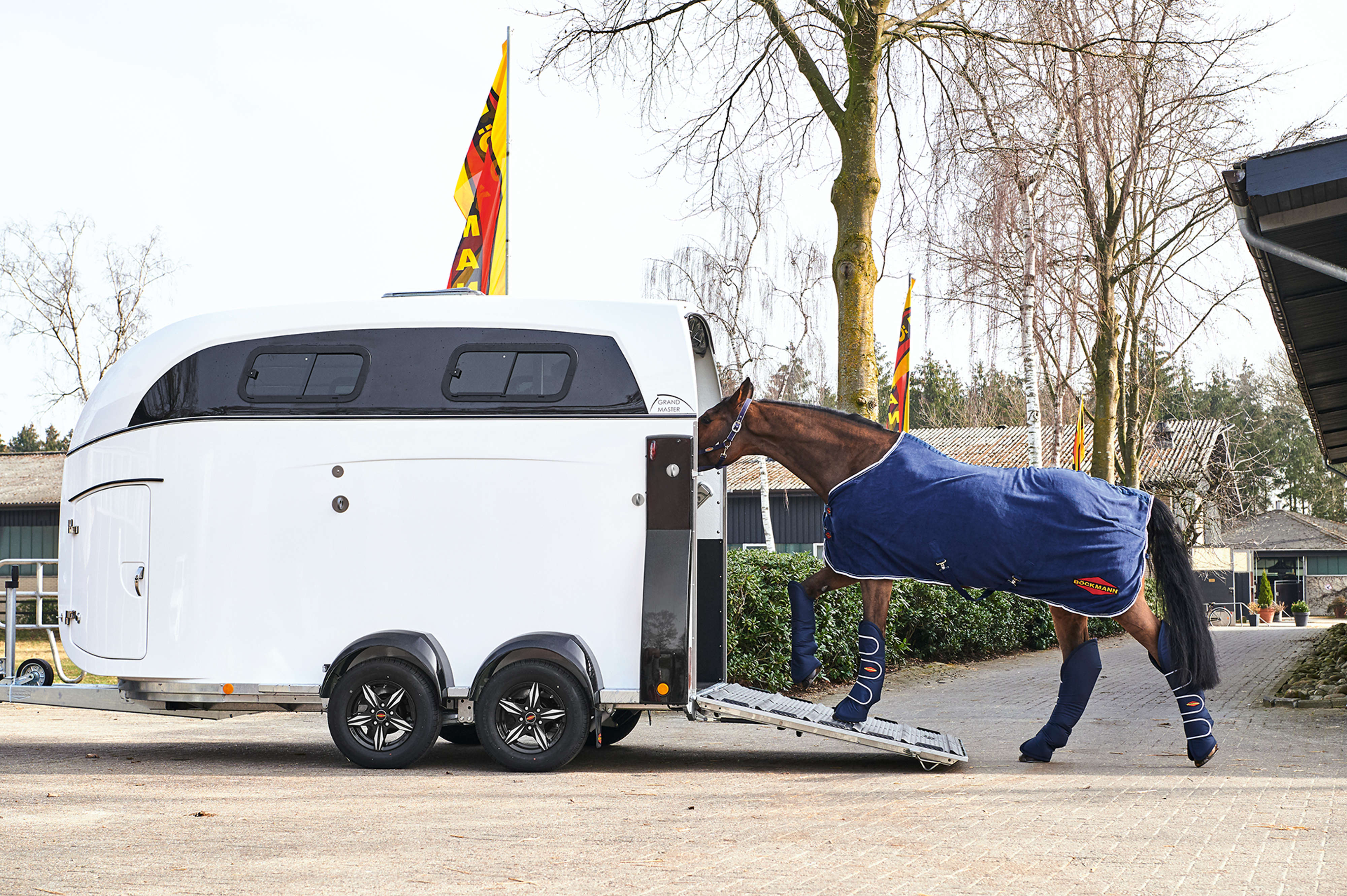 Vans pour chevaux Bockmann - Grand Master
